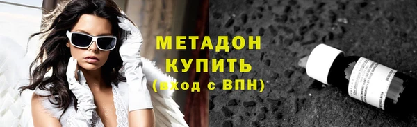 индика Арсеньев