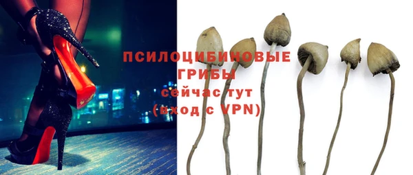 индика Арсеньев