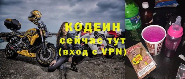 индика Арсеньев