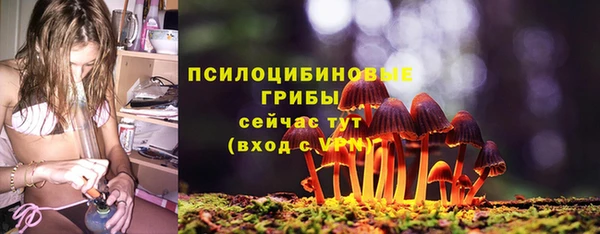 индика Арсеньев