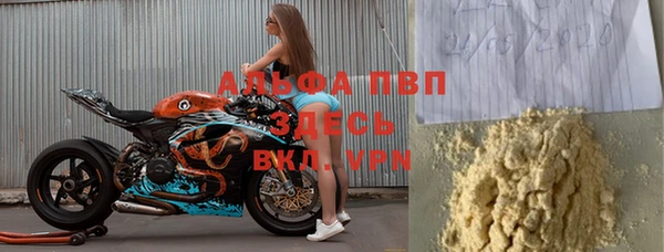 индика Арсеньев