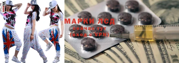 индика Арсеньев