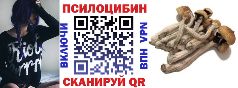 Галлюциногенные грибы мицелий  даркнет состав  Сорск 